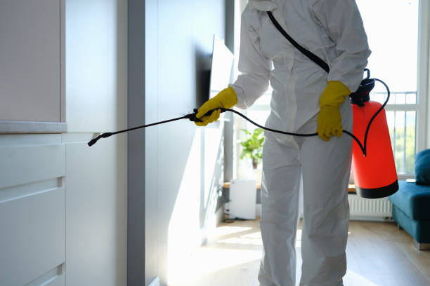 Professional Mold Removal in Mart, TX