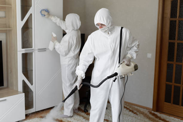 Attic Mold Removal in Mart, TX