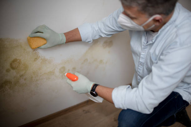 Best Mold Testing  in Mart, TX