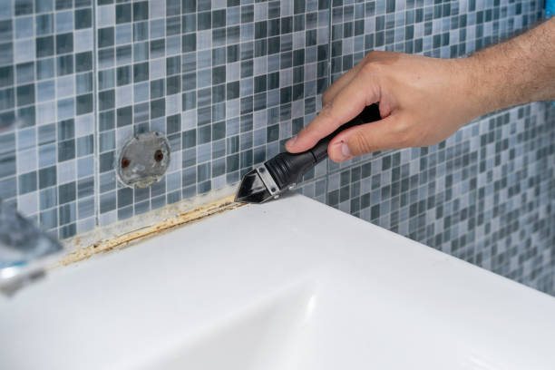 Best Best Mold Removal Companies  in Mart, TX