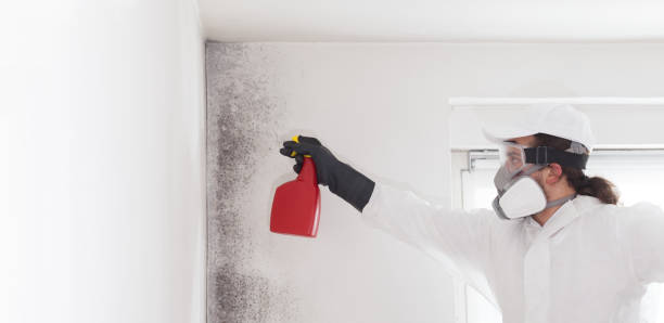 Best Office Mold Removal Services  in Mart, TX