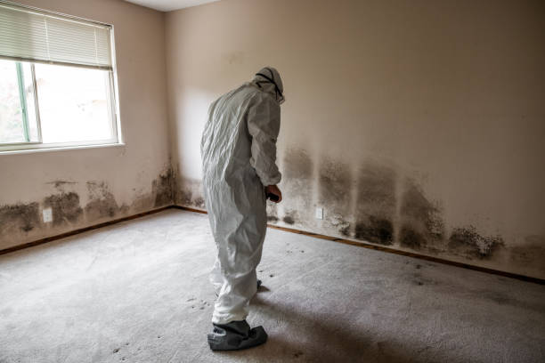 Best Attic Mold Removal  in Mart, TX