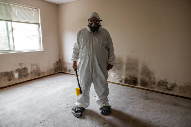 Best Same-Day Mold Removal  in Mart, TX