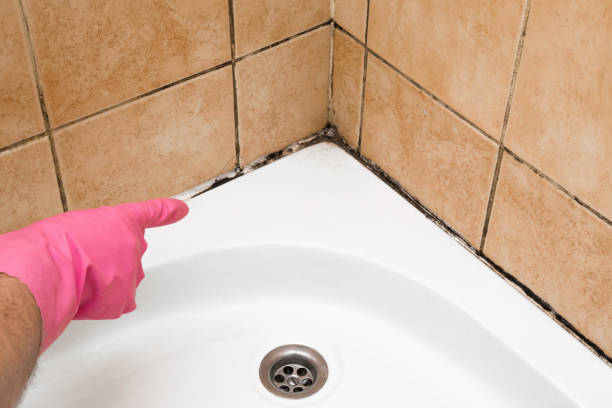 Best Local Mold Removal Service  in Mart, TX